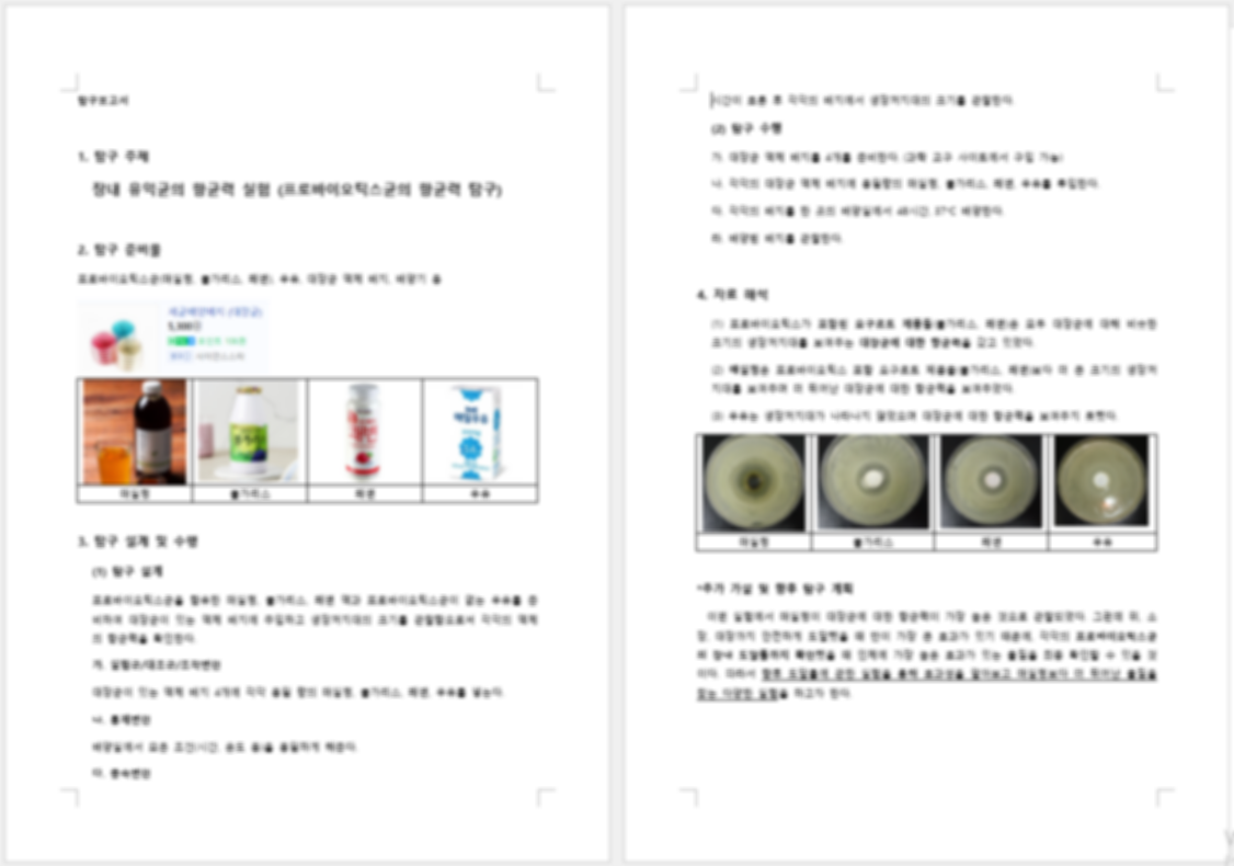 한글파일